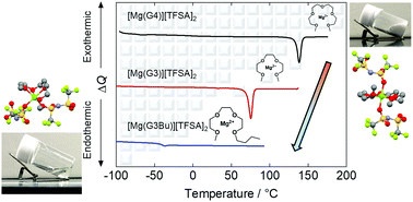 Graphical abstract: Magnesium bis(trifluoromethanesulfonyl)amide complexes with triglyme and asymmetric homologues: phase behavior, coordination structures and melting point reduction