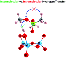 Graphical abstract: Adsorption and decomposition of dimethyl methylphosphonate on size-selected (MoO3)3 clusters