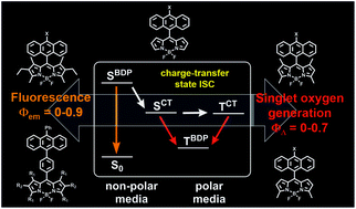 Graphical abstract: Control of triplet state generation in heavy atom-free BODIPY–anthracene dyads by media polarity and structural factors