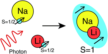 Graphical abstract: Photoassociation of ultracold NaLi