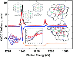 Graphical abstract: Element specific determination of the magnetic properties of two macrocyclic tetranuclear 3d–4f complexes with a Cu3Tb core by means of X-ray magnetic circular dichroism (XMCD)