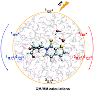 Graphical abstract: QM/MM studies on the excited-state relaxation mechanism of a semisynthetic dTPT3 base