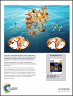 Graphical abstract: Back cover