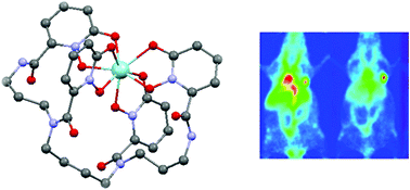 Graphical abstract: The chemistry of PET imaging with zirconium-89