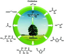 Graphical abstract: Catalytic oxidation of carbohydrates into organic acids and furan chemicals