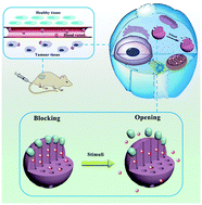 Graphical abstract: Diverse gatekeepers for mesoporous silica nanoparticle based drug delivery systems