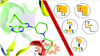Graphical abstract: Structure-based design of targeted covalent inhibitors
