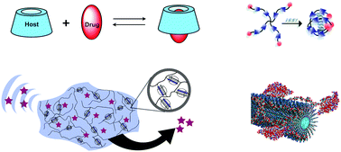 Graphical abstract: Drug delivery by supramolecular design
