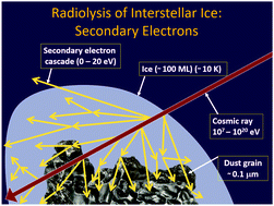 Graphical abstract: Extraterrestrial prebiotic molecules: photochemistry vs. radiation chemistry of interstellar ices