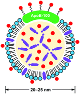 Graphical abstract: Biomimetics: reconstitution of low-density lipoprotein for targeted drug delivery and related theranostic applications