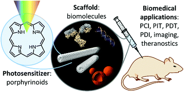 Graphical abstract: Porphyrinoid biohybrid materials as an emerging toolbox for biomedical light management