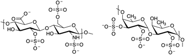 Graphical abstract: Design, synthesis, and biomedical applications of synthetic sulphated polysaccharides