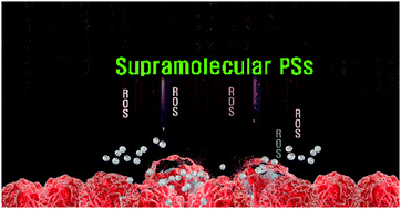 Graphical abstract: Supramolecular photosensitizers rejuvenate photodynamic therapy
