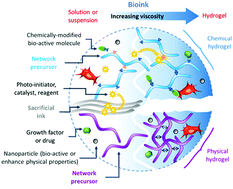 Graphical abstract: Chemical insights into bioinks for 3D printing