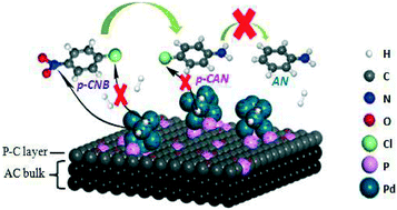 Graphical abstract: A phosphorus–carbon framework over activated carbon supported palladium nanoparticles for the chemoselective hydrogenation of para-chloronitrobenzene