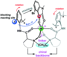 Graphical abstract: Theoretical and experimental studies on the structure–property relationship of chiral N,N′-dioxide–metal catalysts probed by the carbonyl–ene reaction of isatin