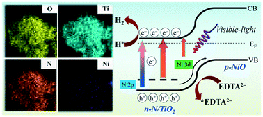 Graphical abstract: Molecular p–n heterojunction-enhanced visible-light hydrogen evolution over a N-doped TiO2 photocatalyst
