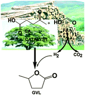 Graphical abstract: Effect of SiO2 support properties on the performance of Cu–SiO2 catalysts for the hydrogenation of levulinic acid to gamma valerolactone using formic acid as a hydrogen source