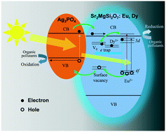 Graphical abstract: Hybridization of silver orthophosphate with a melilite-type phosphor for enhanced energy-harvesting photocatalysis
