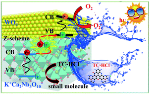 Graphical abstract: 2D/2D heterojunctions of WO3 nanosheet/K+Ca2Nb3O10− ultrathin nanosheet with improved charge separation efficiency for significantly boosting photocatalysis