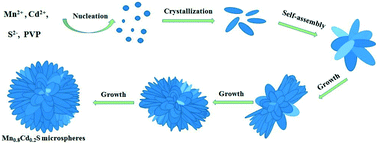 Graphical abstract: Self-assembled three-dimensional flowerlike Mn0.8Cd0.2S microspheres as efficient visible-light-driven photocatalysts for H2 evolution and CO2 reduction