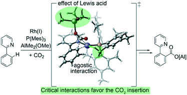 Graphical abstract: Computational studies on the Rh-catalyzed carboxylation of a C(sp2)–H bond using CO2