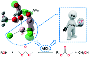 Graphical abstract: DFT and experimental analysis of aluminium chloride as a Lewis acid proton carrier catalyst for dimethyl carbonate carboxymethylation of alcohols