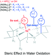 Graphical abstract: Further insight into the electrocatalytic water oxidation by macrocyclic nickel(ii) complexes: the influence of steric effect on catalytic activity