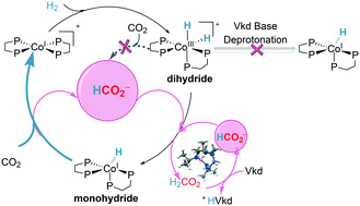 Graphical abstract: DFT study of CO2 hydrogenation catalyzed by a cobalt-based system: an unexpected formate anion-assisted deprotonation mechanism