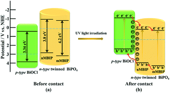 Graphical abstract: Construction of a composite photocatalyst with significantly enhanced photocatalytic performance through combination of homo-junction with hetero-junction