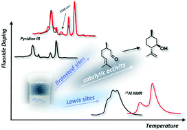 Graphical abstract: A novel fluoride-doped aluminium oxide catalyst with tunable Brønsted and Lewis acidity