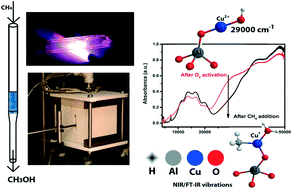 Graphical abstract: Methane-to-methanol conversion over zeolite Cu-SSZ-13, and its comparison with the selective catalytic reduction of NOx with NH3