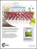 Graphical abstract: Inside back cover