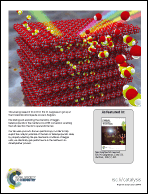 Graphical abstract: Back cover