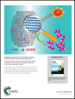 Graphical abstract: Inside back cover