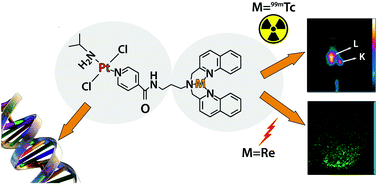 Graphical abstract: Combining imaging and anticancer properties with new heterobimetallic Pt(ii)/M(i) (M = Re, 99mTc) complexes