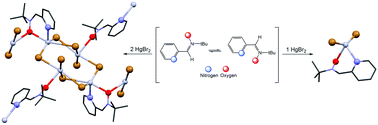 Graphical abstract: Coordination chemistry of mercury(ii) with 2-pyridylnitrones: monomers to polymers