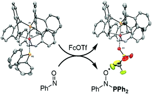 Graphical abstract: Oxidative formation of phosphinyl radicals from a trigonal pyramidal terminal phosphide Rh(i) complex, with an unusually long Rh–P bond