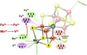 Graphical abstract: Comparative electronic structures of nitrogenase FeMoco and FeVco