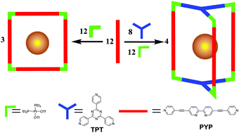 Graphical abstract: Self-assembly of metal-ion-responsive supramolecular coordination complexes and their photophysical properties