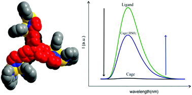 Graphical abstract: Self-assembly and anion sensing of metal–organic [M6L2] cages from fluorescent triphenylamine tri-pyrazoles with dipalladium(ii,ii) corners