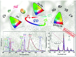 Graphical abstract: Luminescence and white-light emitting luminescent sensor of tetrafluoroterephthalate-lanthanide metal–organic frameworks