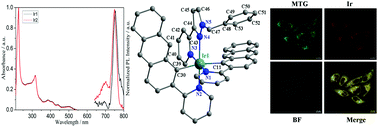 Graphical abstract: Near-infrared emitting iridium(iii) complexes for mitochondrial imaging in living cells