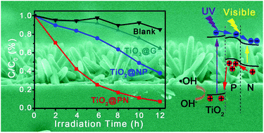 Graphical abstract: UV and visible light synergetic photodegradation using rutile TiO2 nanorod arrays based on a p–n Junction