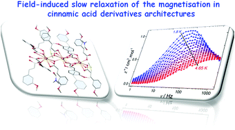 Graphical abstract: Cinnamic acid derivative rare-earth dinuclear complexes and one-dimensional architectures: synthesis, characterization and magnetic properties