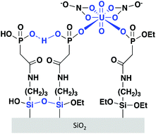 Graphical abstract: Organic layer formation and sorption of U(vi) on acetamide diethylphosphonate-functionalized mesoporous silica