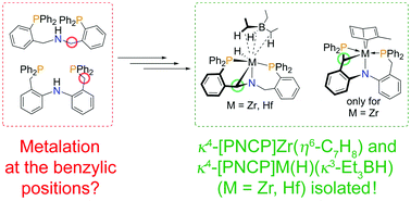 Graphical abstract: Benzylene-linked [PNP] scaffolds and their cyclometalated zirconium and hafnium complexes