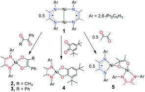 Graphical abstract: Noninnocent ligands: heteroleptic nickel complexes with α-diimine and 1,2-diketone derivatives