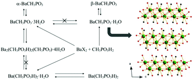 Graphical abstract: Synthesis and characterization of new barium methylphosphonates