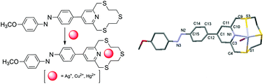 Graphical abstract: The assembly of “S3N”-ligands decorated with an azo-dye as potential sensors for heavy metal ions